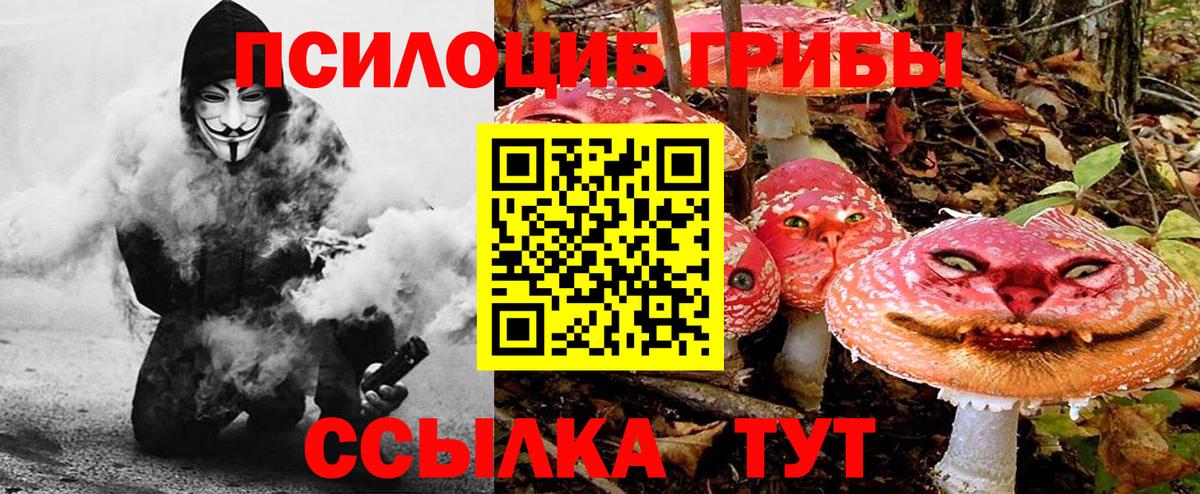 где можно купить   Псилоцибиновые грибы MAGIC MUSHROOMS  Вход с VPN  Рассказово 