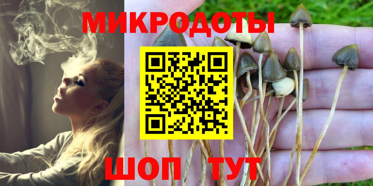 Псилоцибиновые грибы мицелий Рассказово